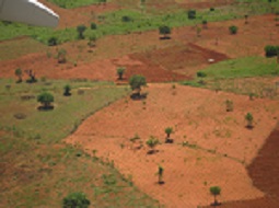 Togo farming