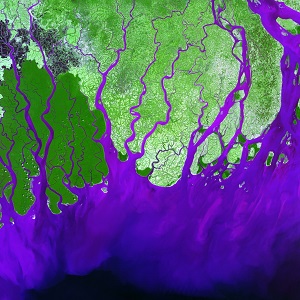 Ganges delta