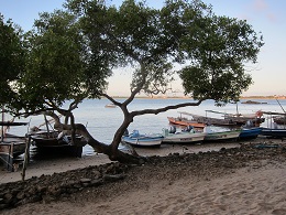 fishing boats on Lamu