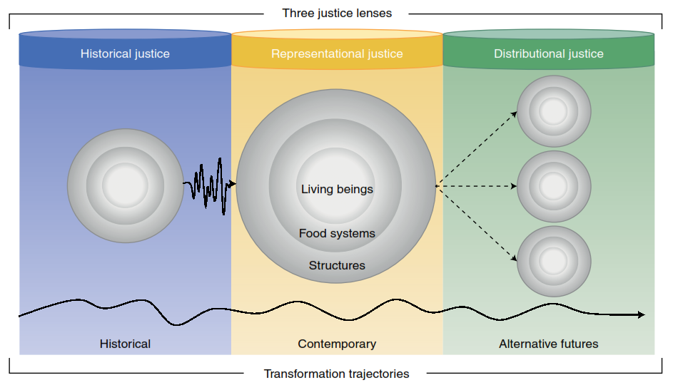 “A framework for examining justice in food system transformations research” New paper with inputs from Kulima