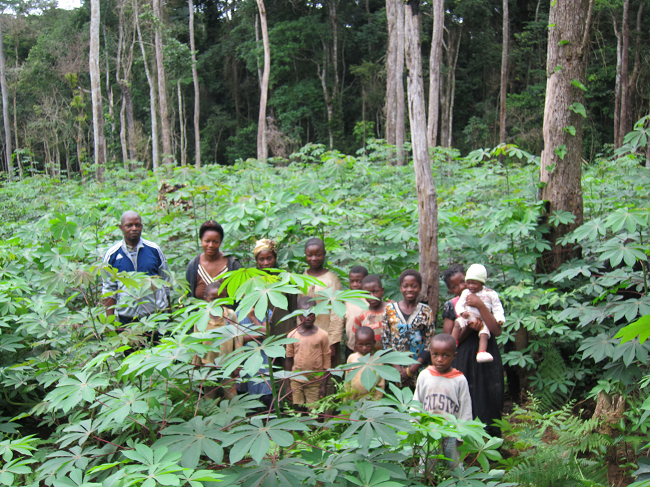 cassava farmers in Cameroon