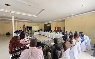 Kulima participates in research feedback meetings in Zambia for the FoSTA-Health project