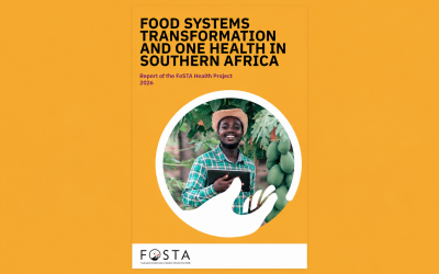 “Food systems transformation and One Health in southern Africa” New report from the FoSTA-Health project